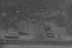 РЯЗКО ВЛОШАВАНЕ НА ЗИМНАТА ОБСТАНОВКА ВЪВ ВАРНА