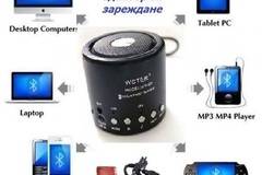 Безжична Bluetooth тонколона Rosen i Svetlio WS-Q9 black, FM радио, USB и micro SD CARD слот, Черен и адаптер