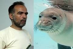 Тома Белев иска да развъжда тюлен монах, изчезнал преди 35 години в Болата