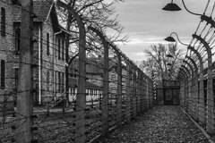 Спасяването на българските евреи