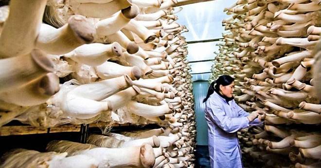 21 човека, които видяха нещо странно и не го подминаха