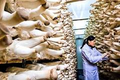 21 човека, които видяха нещо странно и не го подминаха