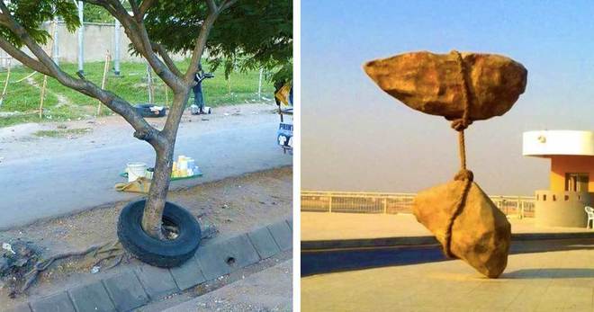 20+ неочаквани снимки, показващи, че животът не спира да ни изненадва