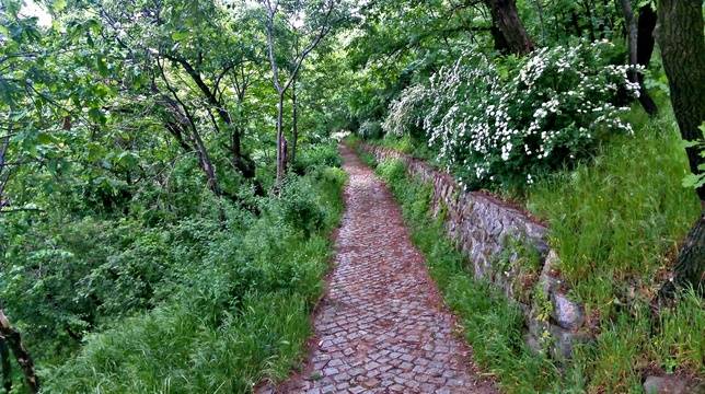 Енергийно поле в Пловдив