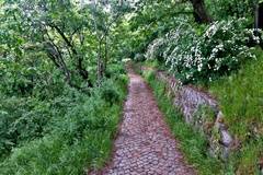 Енергийно поле в Пловдив