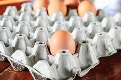 Здравословна храна ли са яйцата?