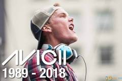 10 от най-големите хитове на Авичи