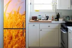 Пано – Жита 4