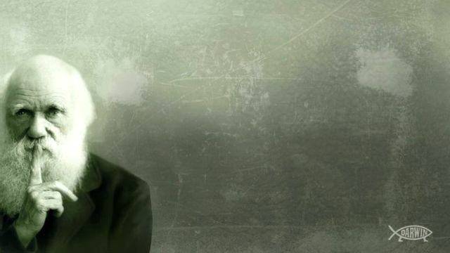 Теорията на Дарвин: истина или не?