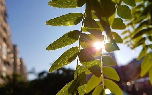 Днес топло време с максимални температури между 24° и 29°