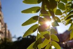 Днес топло време с максимални температури между 24° и 29°