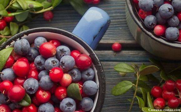 7 храни, полезни за черния дроб