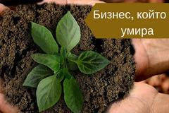 Как бизнесът ми да не умре?