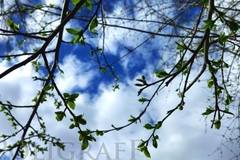 Работната седмица приключва с предимно слънчево време и температури до 32 градуса