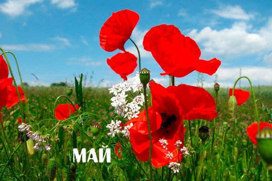 Месечен хороскоп за май 2018: Забавления за Лъва, Везните са напрегнати!