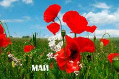 Месечен хороскоп за май 2018: Забавления за Лъва, Везните са напрегнати!