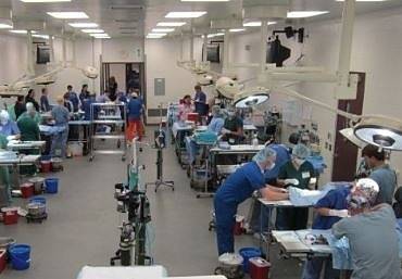 Европарламентът с призив да се забранят тестовете на козметика върху животни