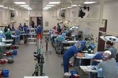 Европарламентът с призив да се забранят тестовете на козметика върху животни