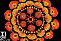 Телевизор OLED Smart LG, 55„ (139 cм), OLED55C7V, 4K Ultra HD