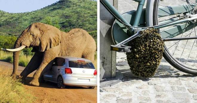 19 човека, които си мислеха, че ще имат страхотен ден, но се оказа нещо друго