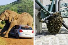 19 човека, които си мислеха, че ще имат страхотен ден, но се оказа нещо друго