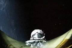 Космическият телескоп Тес запали успешно двигателите си за сближение с Луната