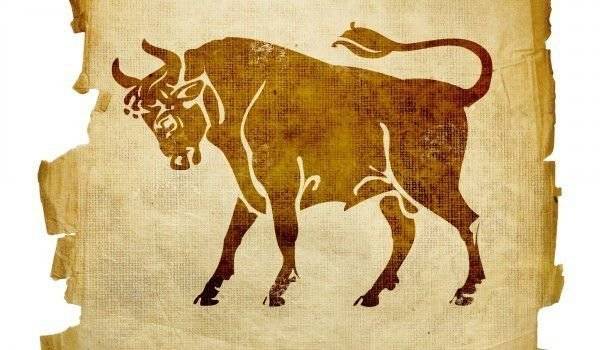 10 причини защо Телците са най-добрите приятели, които някога сте имали