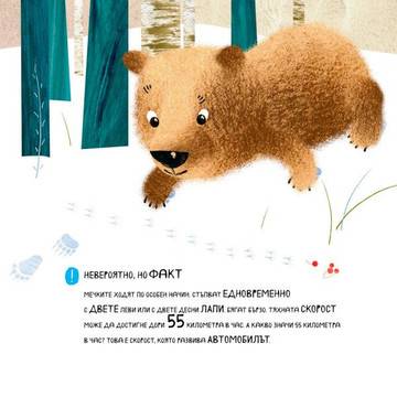 Чудните открития на мечето Съни в гората