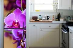 Пано – Орхидея