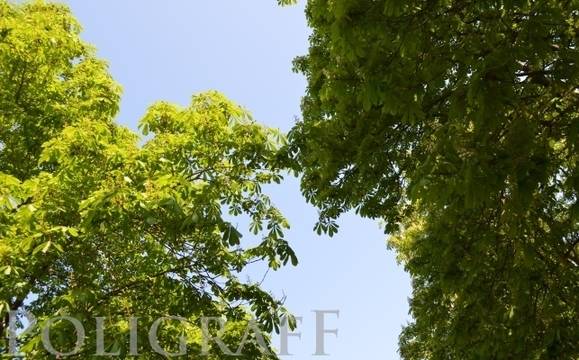 Предимно слънчев вторник с температури до 28 градуса