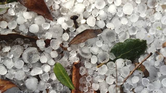 Бедствено положение в Плевен и Бяла Слатина