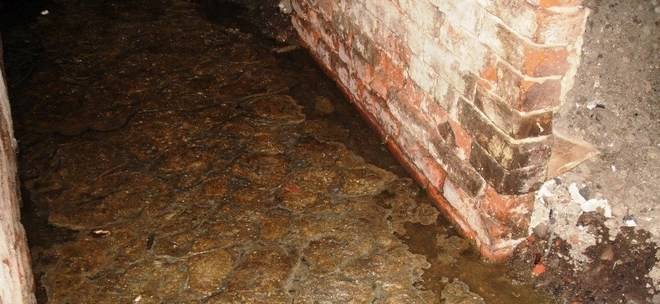 Ученик уби приемното си семейство и скри телата им в мазе