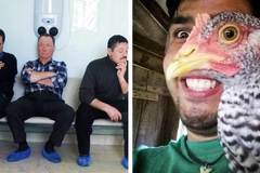 25 измамни снимки, които могат да заблудят всеки