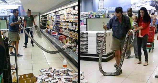 28 снимки, потвърждаващи, че абсурдите са навсякъде около нас