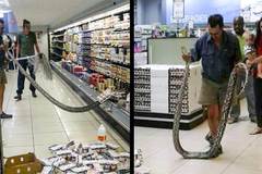 28 снимки, потвърждаващи, че абсурдите са навсякъде около нас