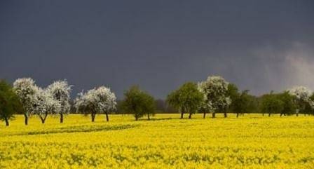 Днес до обяд слънчево, след това облаци и дъжд. Максималните температури ще са между 24° и 29°