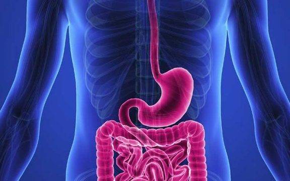 Гъбичката кандида може да е причината за необяснимо напълняване