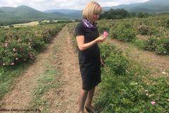 Манолова пита КЗК за картел при розоварите