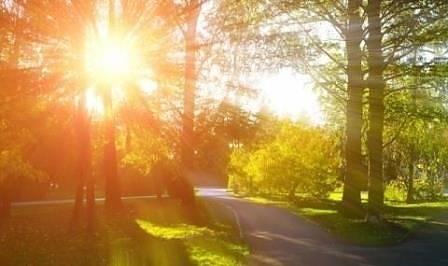 Днес слънчево с максимални температури между 25° и 30°