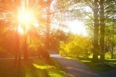 Днес слънчево с максимални температури между 25° и 30°