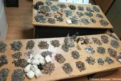 Митничари откриха над 11 000 старинни монети, пръстени и фигурки в белгийска кола