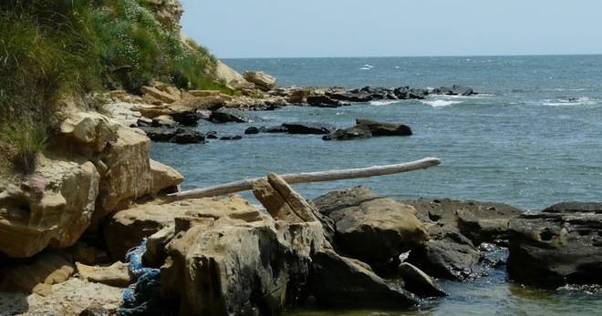 НА „ПАПАЗ КУЛАК“ РАЗЛИЧНИТЕ НОВИНИ DIFFERENT NEWS