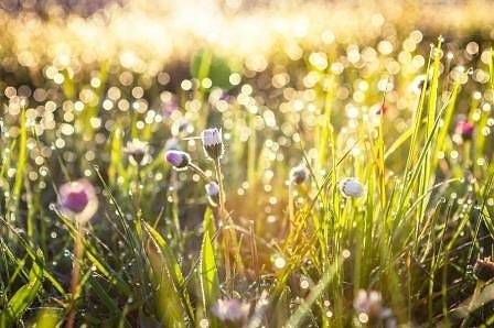 Днес предимно слънчево с максимални температури между 25° и 30°