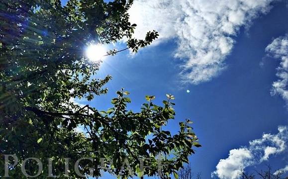 Понеделникът ще бъде слънчев, с температури до 30 градуса