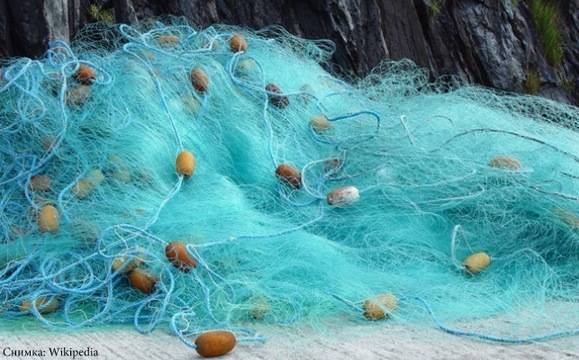 Готвят по-строги санкции за риболовците бракониери