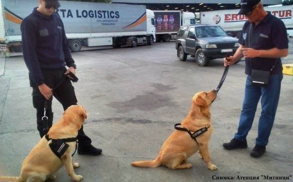 Двама нови митничари на четири лапи ще дирят контрабандни цигари на „Капитан Андреево“