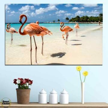 Картина пано за стена от 1 част с изглед от Фламинго Бийч на остров Аруба – HD-754-1