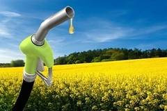 От есента: Горивата за транспорта ще трябва да съдържат поне 6% биодизел