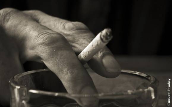 НЗЦОЗА: Лошото детство води до рисково за здравето поведение в зрелостта