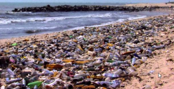 Кит намери смъртта си, след като погълна 80 пластмасови торбички